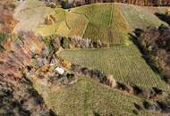 Preisanpassung !! Weingarten mit Landwirtschaft und Altbestand in Kranach, Gemeinde Gamlitz