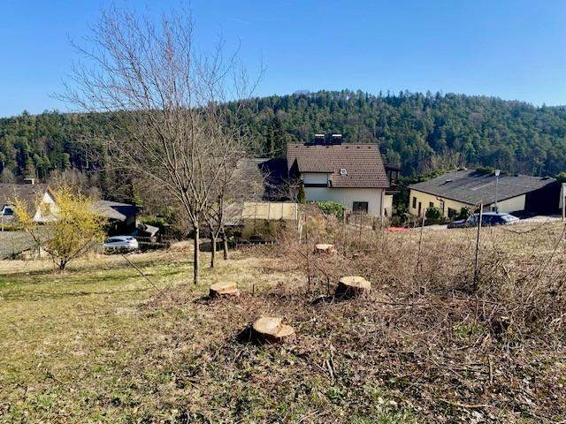 Ruhig, grün und sonnig! Schöner Baugrund im beschaulichen Walpersbach Nähe Bad Erlach