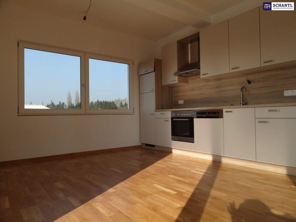 SONNENGLÜCK TRIFFT WOHNGEFÜHL – ein Zuhause, das umarmt! Lassen Sie sich diese wunderschöne Gelegenheit nicht entgehen! Gleich Besichtigungstermin vereinbaren