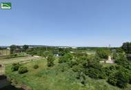 Name ist Programm – Schnappen Sie sich Ihren Wohntraum im Projekt „Hirschfeld – Naturnah wohnen“