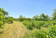 Familienparadies mit Selbstversorger-Garten | 170 m² Wohnfläche auf 1.100 m² Grund