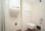 Charmante Erdgeschosswohnung mit Sonnenterrasse in Graz Liebenau! Auch Top zum vermieten! Sofort verfügbar!