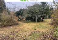 Naturnah &amp; ruhig: Grundstück mit Altbestand in Spattendorf - Gemeinde Alberndorf in der Riedmark