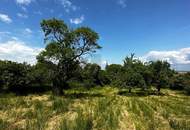 Preisreduktion! IDYLLISCHES BAUGRUNDSTÜCK: RUHEOASE MIT POTENZIAL