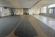 Beheizbare Lagerfläche mit Falttor und Erweiterungsmöglichkeit in Linz zu vermieten!