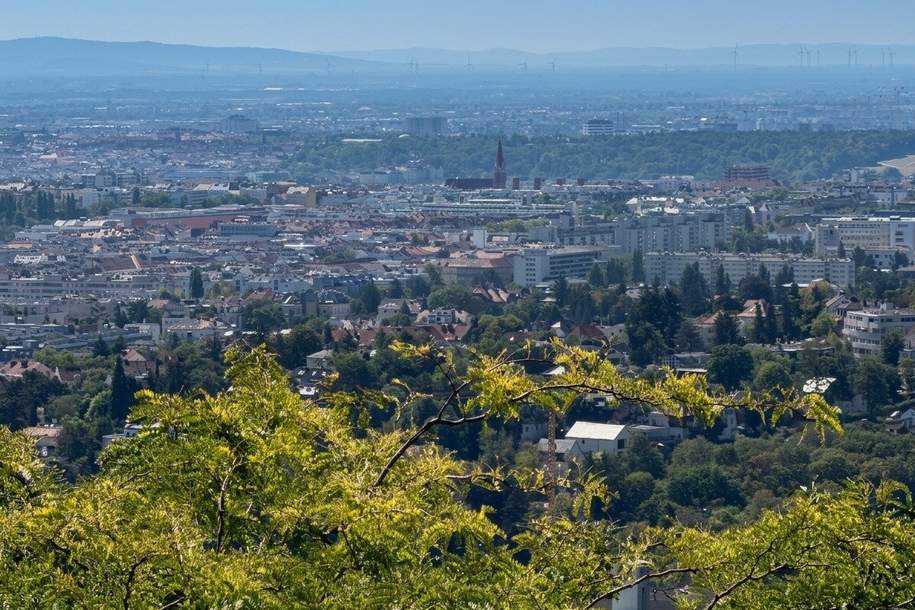 Panoramablick der begeistert - entzückendes Grundstück am Schafberg, Grund und Boden-kauf, 549.000,€, 1180 Wien 17., Hernals