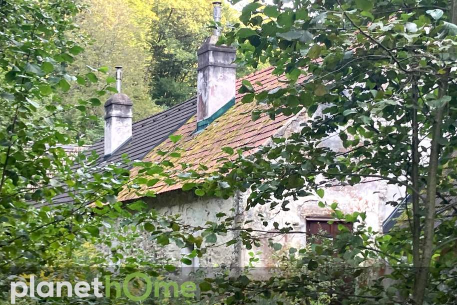 Erhaltenswertes Objekt im Grünland, Haus-kauf, 185.000,€, 2802 Wiener Neustadt(Land)