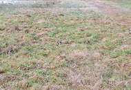 Traumgrundstück in Ilz: Sonnig, ruhig &amp; Zentrum fußläufig erreichbar!