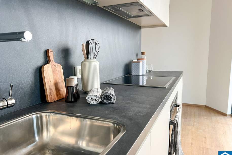 ++ERSTBEZUG++ Hochwertige 4-Zimmer-Wohnung, Wohnung-miete, 790,00,€, 4020 Linz(Stadt)