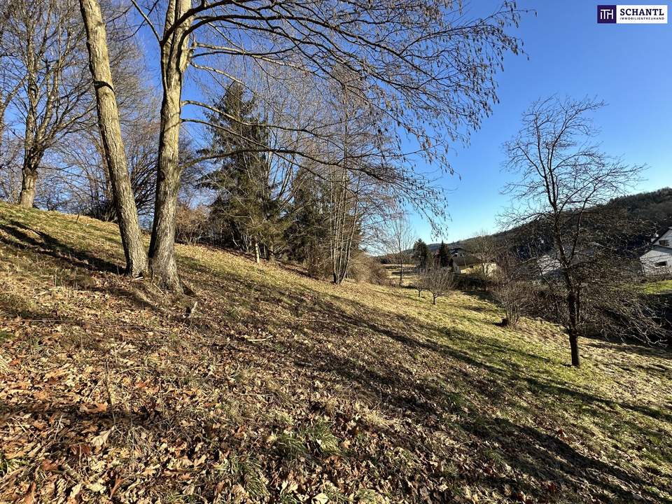 PREISREDUKTION! Attraktiver Baugrund inkl. Bewilligung für Wohnbauprojekt mit 4 Doppelhaushälften! Jetzt Anfragen!