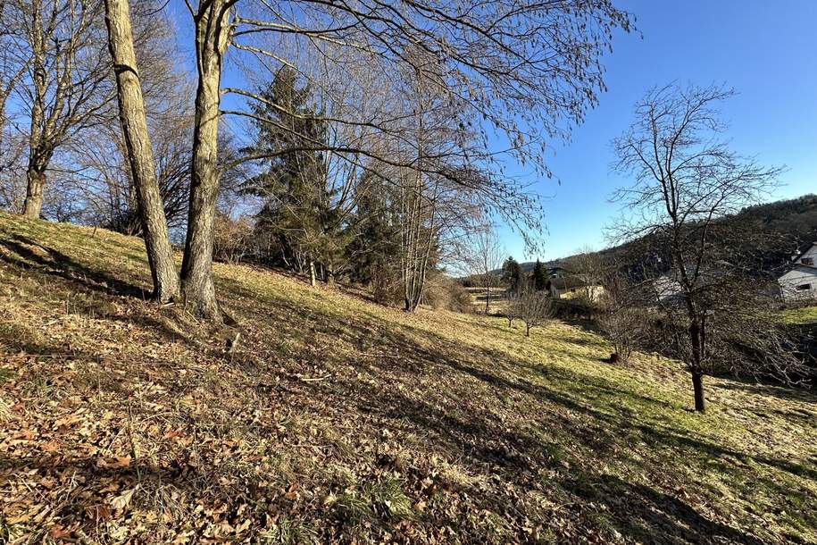 PREISREDUKTION! Attraktiver Baugrund inkl. Bewilligung für Wohnbauprojekt mit 4 Doppelhaushälften! Jetzt Anfragen!, Grund und Boden-kauf, 235.000,€, 8072 Graz-Umgebung