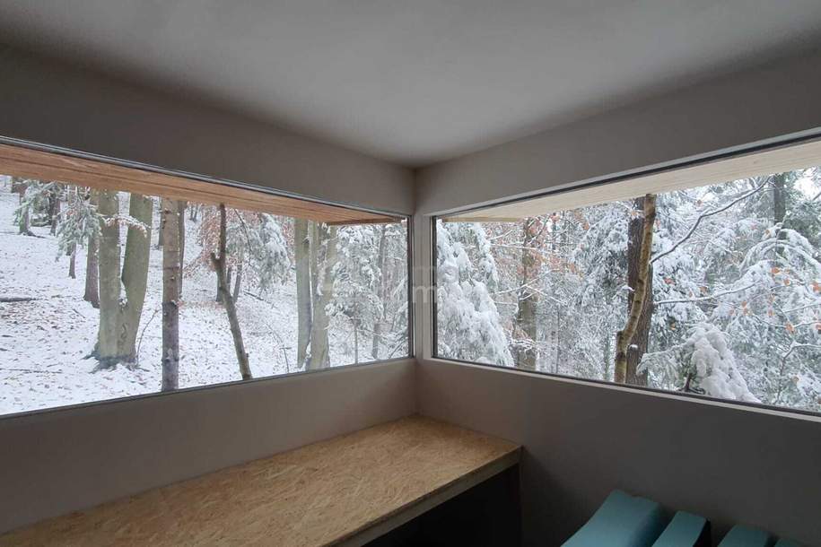 Baugrundstück mit bestehendem Keller am Ortsrand von Pinggau, Grund und Boden-kauf, 55.000,€, 8243 Hartberg-Fürstenfeld