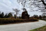 Bauprojekt Wien Oberlaa - wunderbares, großzügiges Baugrundstück mit Baubewilligung