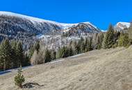 ALM-CHALET 1 - Freizeitwohnsitz in Toplage