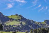 Neubauwohnung mit Kaiserblick
