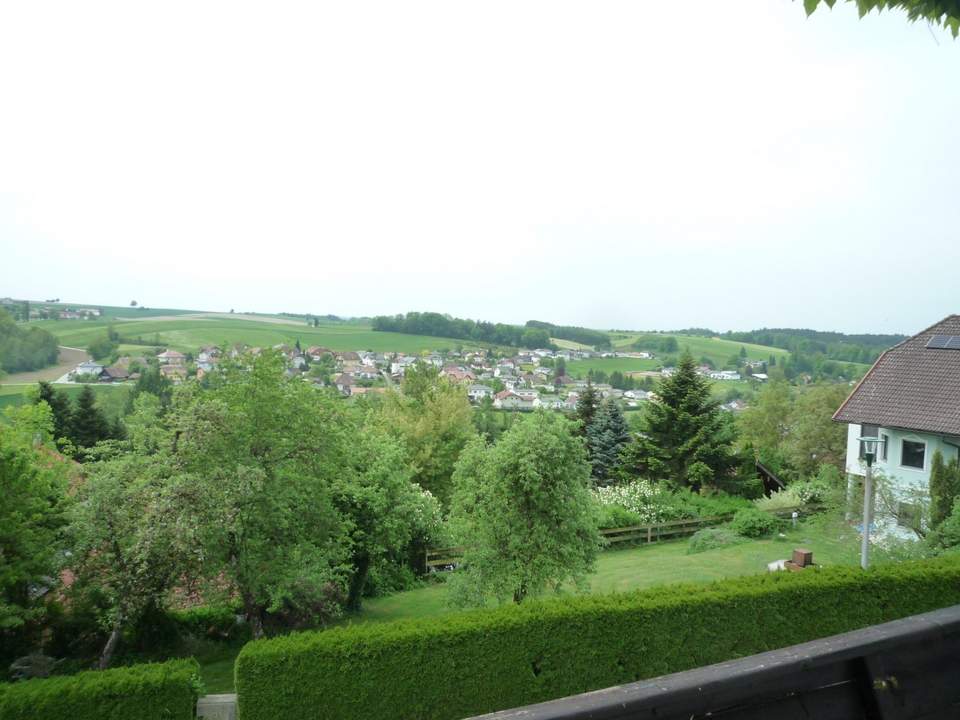 Baugrundstück mit alten Baumbestand