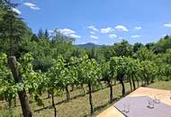 Freizeitgrundstück - Weingarten mit Gartenhütte