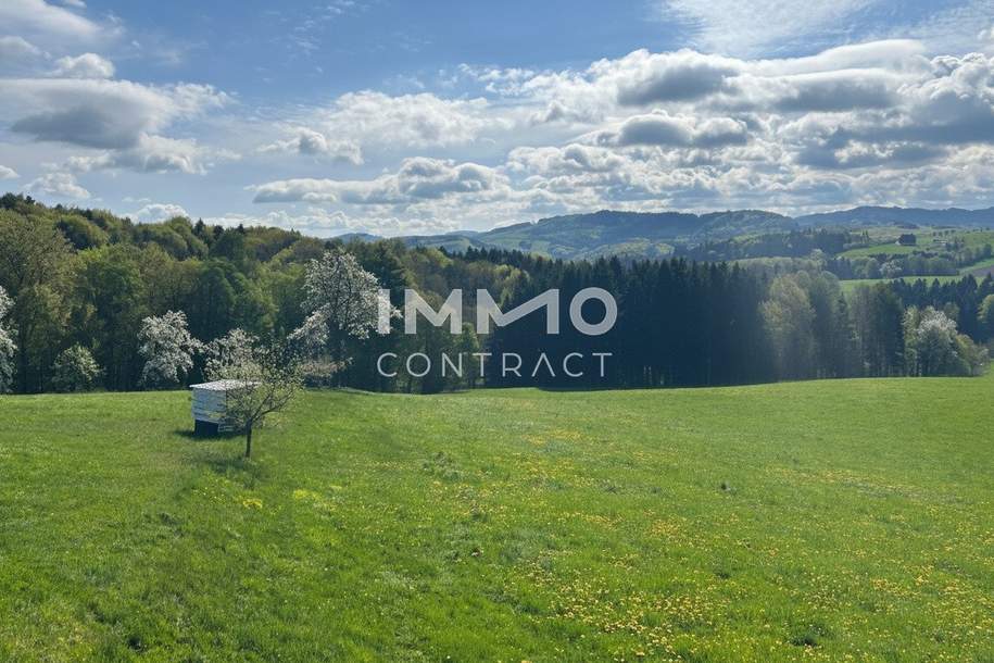 Natur pur mit Weitblick, Haus-kauf, 789.000,€, 3202 Sankt Pölten(Land)