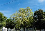 Wohnen beim Park