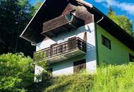 RUHE AM WALDRAND ÜBER DER NEBELGRENZE