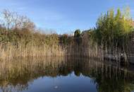 Charmantes Haus mit Schwimmteich