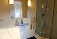 Interessantes und äußerst charmantes Wohnungspaket im Herzen des 3-Länderecks – nebst Thermenregion