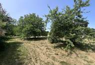 Grundstück mit Altbestand