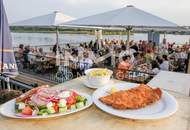 Fantastic three-room apartment with panoramic views on the New Danube