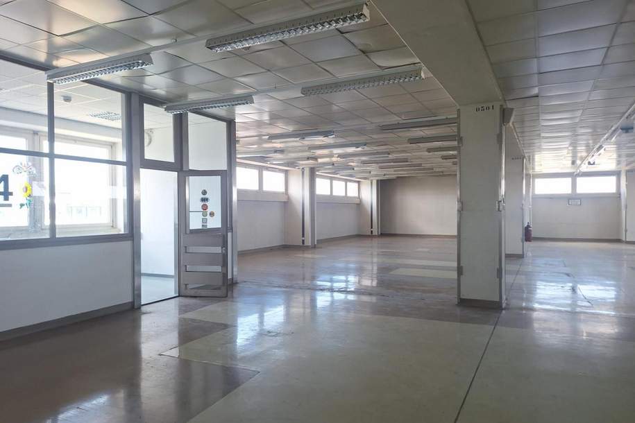 Flexible Lagerflächen mit Top-Anbindung in 1220 Wien, Gewerbeobjekt-miete, 18.735,96,€, 1220 Wien 22., Donaustadt