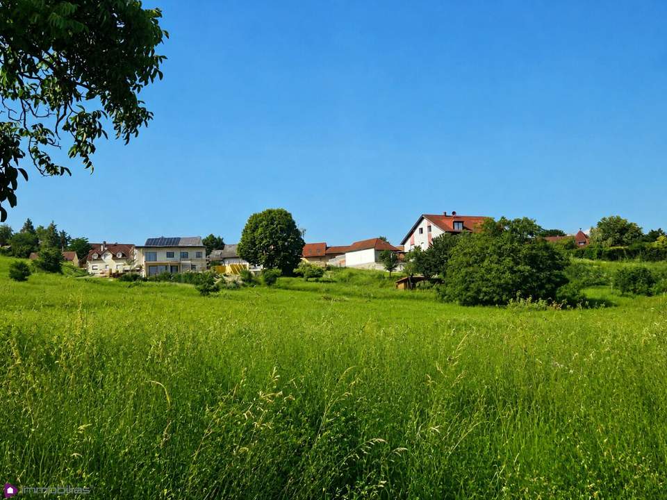 Sonniges Baugrundstück in Leobendorf – Ihr Platz für die Zukunft