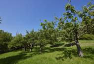 Rarität - gediegenes Anwesen mit spektakulärer Aussicht