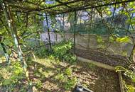 SANIERT: Kleinhaus mit Dachboden auf großem Grundstück in ruhiger Gegend