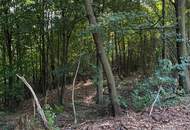 Wald am Stadtrand von Graz – 41.598 m² Natur als bleibender Wert