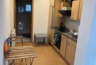 Garconniere mit Terrasse und Gartenbenutzung im Zentrum von Altheim