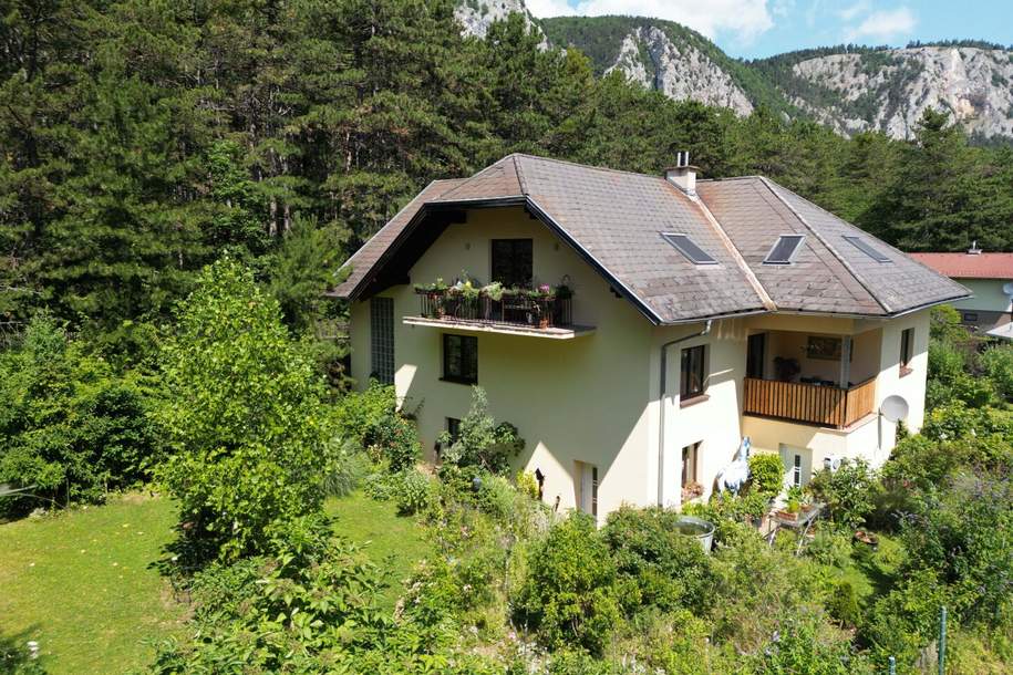 Hohe Wand - Einfamilienhaus mit 3 Wohneinheiten auf 1.100 m² Grund!, Haus-kauf, 699.000,€, 2724 Wiener Neustadt(Land)