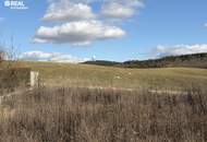 leistbarer Wohntraum im Grünen mit großem Garten