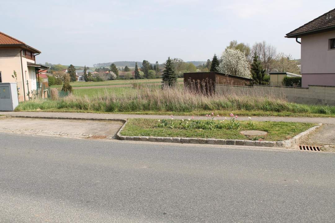 "Hier will ich leben!"