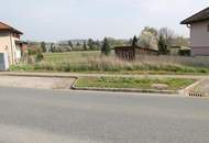 "Hier will ich leben!"