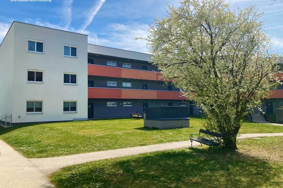 Topwohnung in Ruhelage, Wohnung-miete, 792,73,€, 7000 Eisenstadt(Stadt)