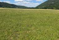 Letzter Baugrund beim Naturpark Sebenstein!