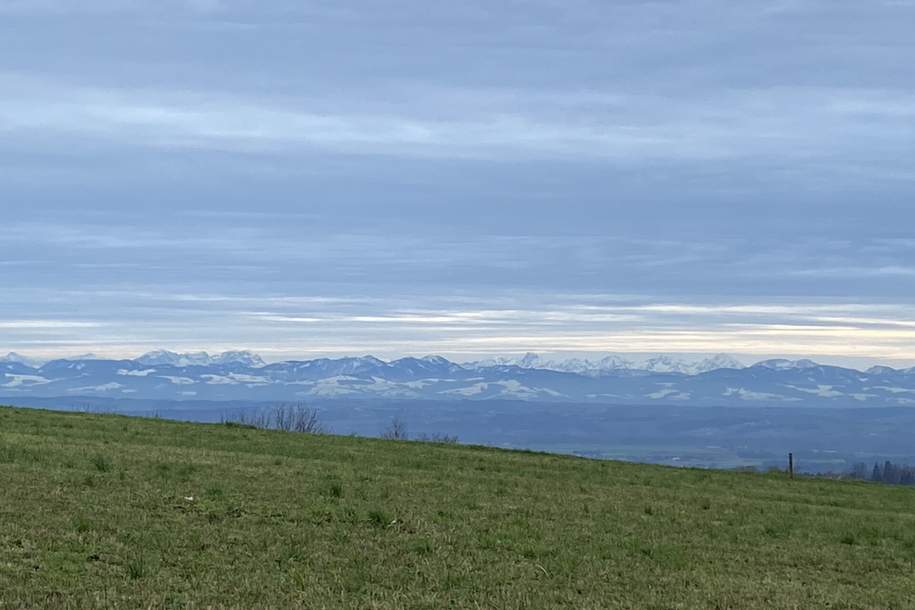 Mein Baugrund im Weingarten (6 Baugründe ab ca 841m2 inkl Trenngrün), Grund und Boden-kauf, 106.859,€, 4322 Perg