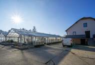 Gärtnerei nahe Tulln &amp; Wien: Betriebsimmobilie mit Glashäusern, Außenflächen, Lagerhalle und Wohnhaus