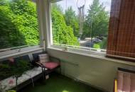 Charmante 3-Raum Wohnung mit Loggia am Bindermichl! Erleben Sie ein einzigartiges Wohngefühl nahe am Zentrum!
