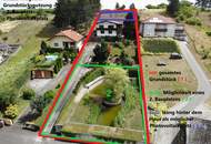 Kronberg KAUF - Villa in traumhafter Lage mit großem Grund und Schwimmbiotop