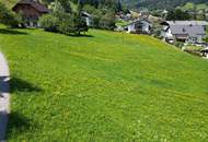 Baugrund gesamt oder geteilt!