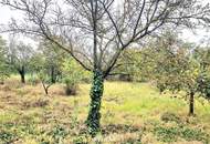 TRAUMHAUS in den Golser Weinbergen möglich!