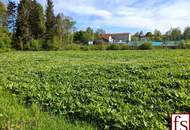 IDYLLISCH gelegener BAUGRUND nahe Ortszentrum – auch für BAUTRÄGER