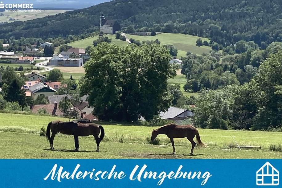 Am Fuße der Hohen Wand, Haus-kauf, 295.000,€, 2732 Neunkirchen