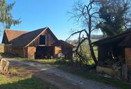 ALLEINLAGE: Sanierungsbedürftiger Vierkanthof mit ca. 17ha Land zu verkaufen