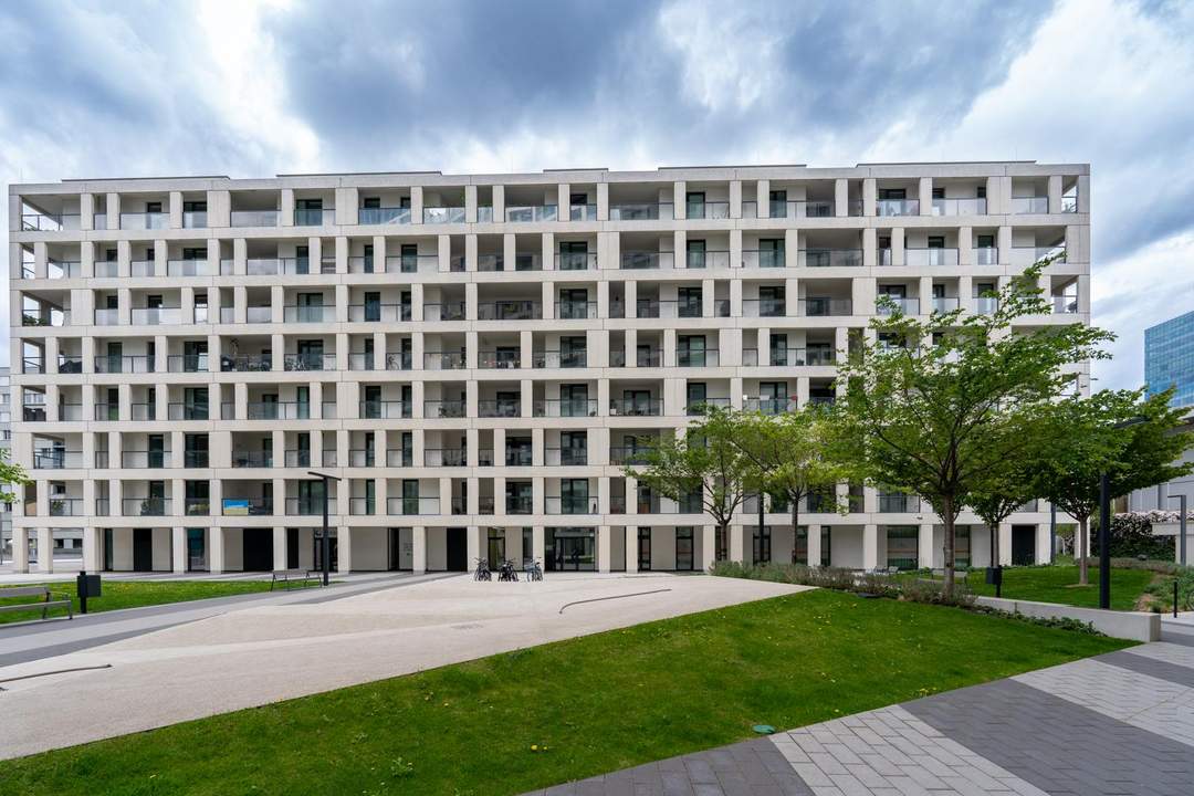 " DC-Living-Living the Dream "